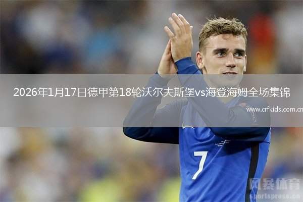 2026年1月17日德甲第18轮沃尔夫斯堡vs海登海姆全场集锦