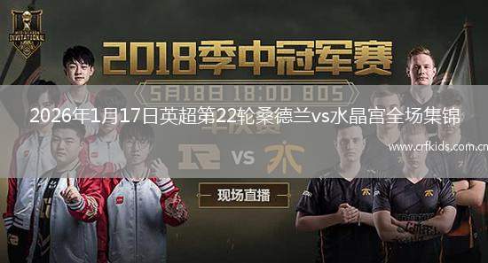 2026年1月17日英超第22轮桑德兰vs水晶宫全场集锦